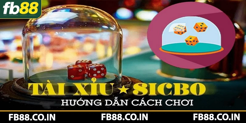 Chia sẻ cách chơi Tài Xỉu FB88 chuẩn xác